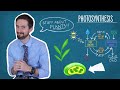 Photosynthesis Processes and Reactions