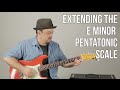 Guitar Techniques and Concepts