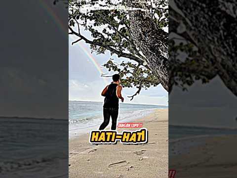 Hati-Hati Melangkah ! Ada hewan ini #beranda #fypシ゚viral #laut #pantai #lampung #hewan #misteri