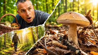 BYŁEM TU KILKA DNI TEMU… DZISIAJ SZOK!!! 🍄‍🟫 BOROWIKI RUSZYŁY!!! 🍄‍🟫🍄‍🟫🍄‍🟫