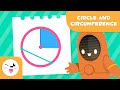 Understanding Circles and Their Properties