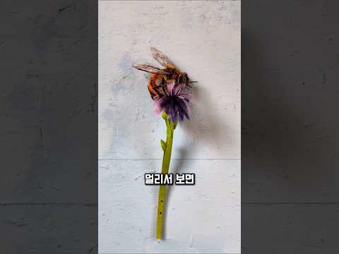 30년간 이것만 만든 예술가