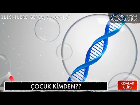 Çocuk Kimden?? (S279) | Dr. TOA Kısalar