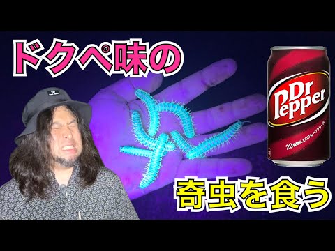 ドクターペッパー味の奇虫をいただきます。いやコレやっぱり杏仁豆腐味かもしれん。【アマビコヤスデ】