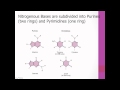 Nucleic Acids and Their Properties