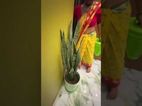 āĻāĻ āĻāĻžāĻ āϰāĻžāĻāϞ⧠āĻŦā§āĻāĻž āϝāĻžāĻŦā§ āĻāĻŽāĻžāϰ āĻ āĻŋāĻ āĻ āĻžāĻ āĻĻāĻŋāĻā§ āĻāĻā§ đ#start