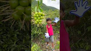 Survival Skills: SMART idea and USEFUL in forest #bushcraft #survival #camping #outdoors #shorts