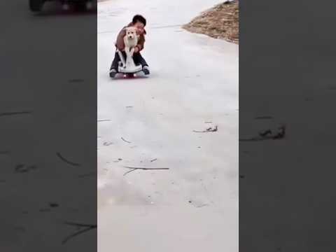 เดเดคเดฟเดจเดพ เด
เดตเดจเตเดฑเต เดเดเตเด เดตเตเดฏเตเดฑเตเดฑเดฟเดเดเต #trending #funny #youtube #shortvideo #dog