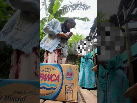 Kaget! Sedih,campur aduk rasanya #subscribe #cat #kucing #viral #shorts #kitten #kaget #fyp #video