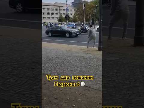 Тухм дар пешонии Раҳмонов!🥚