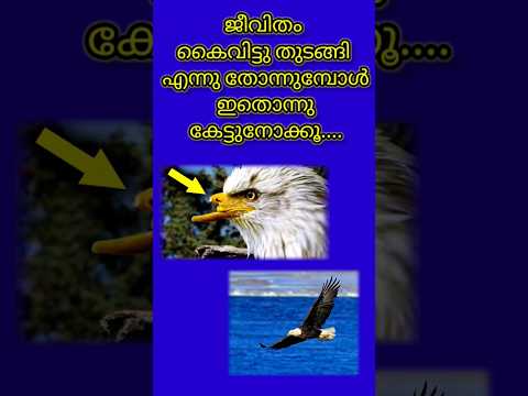 ജീവിതം കൈവിട്ടു തുടങ്ങി എന്ന് തോന്നുമ്പോൾ ഒന്ന് കേട്ട് നോക്കൂ #funny #trending #dance#reels #comedy
