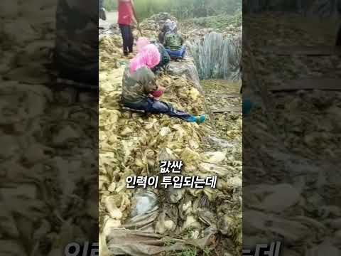 마지막 진짜 큰 문제