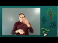 Andalusian Plant-Based Food Quiz