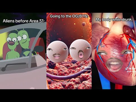 *1+ HOUR* Dimpey6 Funny Shorts Videos 2025 | Dimpey6 New Videos Compilation