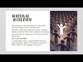 Artificial and Natural Selection Concepts