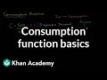 Understanding the Consumption Function