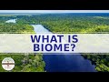 Exploring the Categories of Biomes
