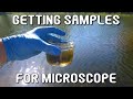 Exploring Water Sampling Techniques for Microscopy