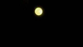 BEAUTIFUL APRIL'S FULL PINK MOON  #beautiful #art #artist#moon#moonart#artwork #nightsky#fullmoon