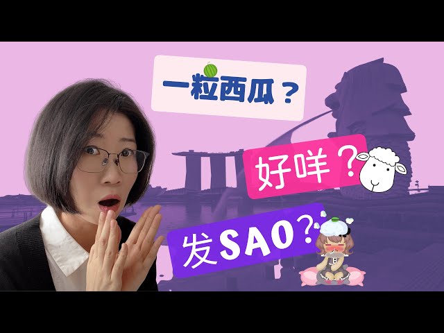 Singaporean Chinese vs China Chinese | 新加坡华文 VS 大陆中文 | Can Singaporeans Speak Chinese?