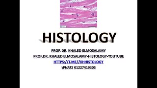 Histology   introduction   part 1 1st year هستولوجى 2025