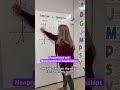 Proportional vs Non-Proportional Relationships