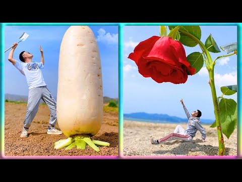 The Art of Magic📸Photography - The Ultimate Creative #3