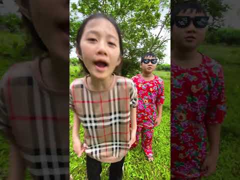 Từ giờ anh không phải ăn cơm chó #shorts