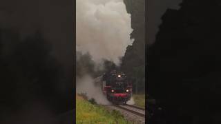 86 1333 in der Steigung vor Sehma