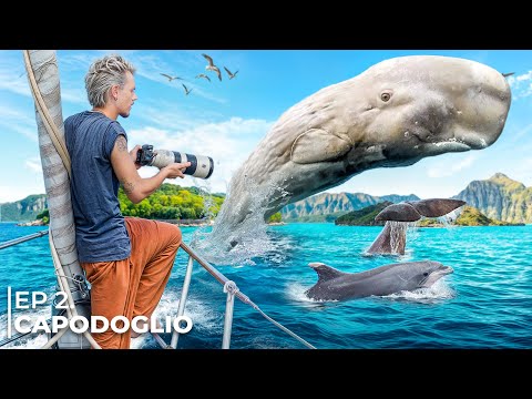 il Suono più forte del regno animale: Il CAPODOGLIO | Musica Bestiale Ep.2