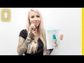 Kitten Care and Fostering Insights