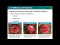 Facilitated Diffusion and Cell Transport