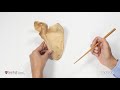 Shoulder Anatomy and Muscles