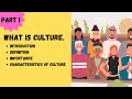 Understanding Culture and Its Dynamics