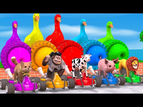 5 Giant Duck Cartoon,Cow,Mammoth,Elephant,Lion,Dogs, Paint Wild Animals Crossing Fountain Animation