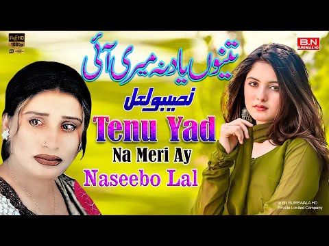 Tenu Yad Na Meri Ay - Naseebo Lal | Official Music Video | New Punjabi Song 2025