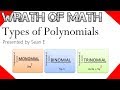 Understanding Polynomials