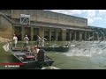 Silver Carp Management and Impact