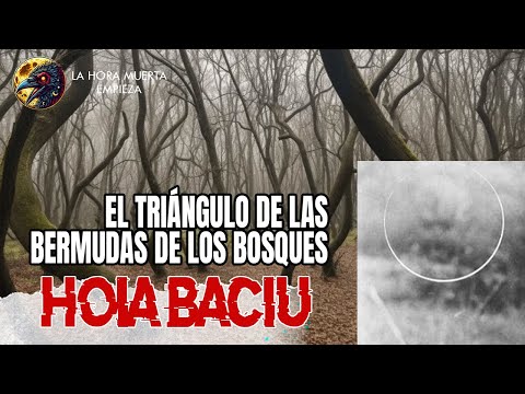 El Bosque de Hoia Baciu El Triángulo de las Bermudas de los Bosques