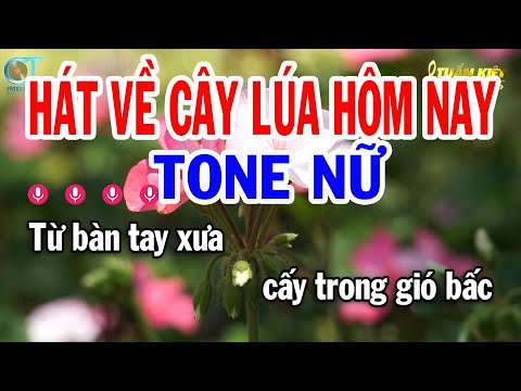 Karaoke Hát Về Cây Lúa Hôm Nay Tone Nữ ( Cm ) Nhạc Sống Mới | Karaoke Tuấn Kiệt