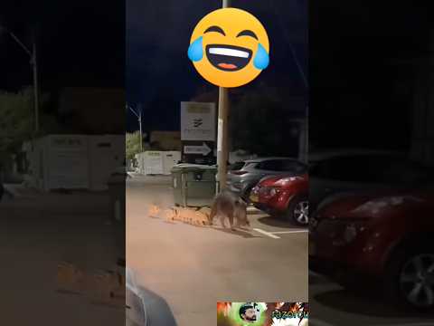 துபாய் மெயின் ரோடு#ytshortsvideo #funny #comedyfilms #comedy #funnycomedy #