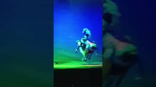 KATPUTLI DANCE | UNIQUE SKILLS