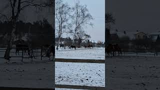 Latvia in -15 Degrees