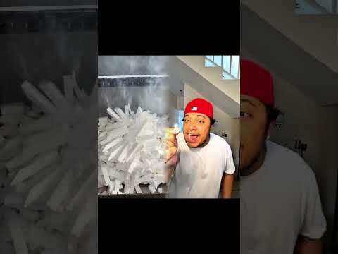 EU ACHO QUE A MINHA CACHORRA COMEU MINHA RATA! ๐ญ #shorts - Ana Adati