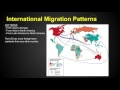 Migration Trends and Patterns