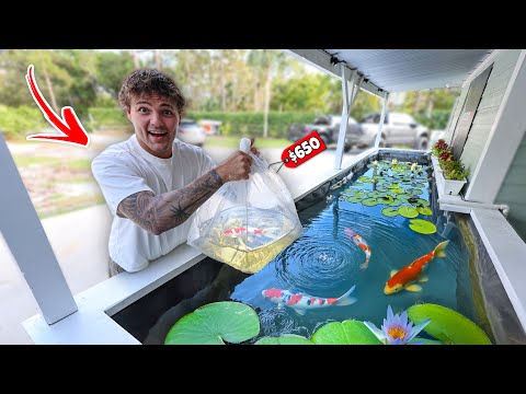 Buying KOI FISH for My NEW POND!!