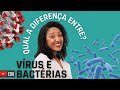 Bactérias e Vírus: Estruturas e Funções