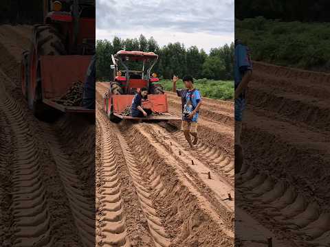 คูโบต้าติดเครื่องเสียงก็จะประมาณนี้ #ฝากกดติดตาม #kubota #วิถีชาวบ้าน #ฝากกดไลค์ #cassava #sticky