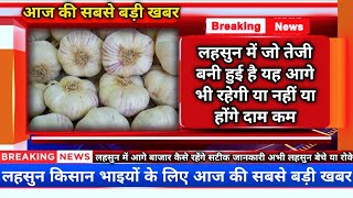 लगातार लहसुन में तेजी बनी हुई है आगे बाजार तेज रहेंगे या होंगे कम। सटीक और सही जानकारी।