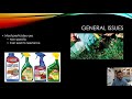 Pesticides and Genetically Modified Organisms
